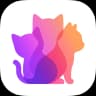 3Kittens Logo